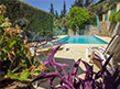 Private 4 x 11 metre swimming pool on a secluded terrace, surrounded by an Elaeagnus hedge which blooms into fragrant flower in the autumn followed by small orange fruits which are an attraction for birds.